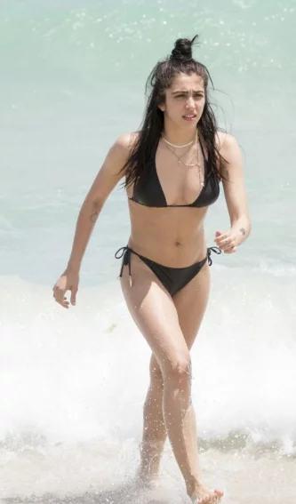 陆贞传奇电视剧在线观看免费全集