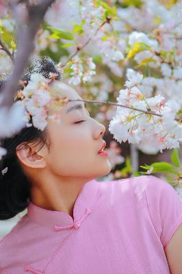 免费观看电视剧连续剧大全