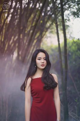 免费的网站域名查询