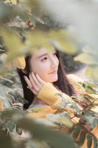 念无双电视剧免费观看完整版高清