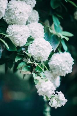 热播电视剧追剧清单