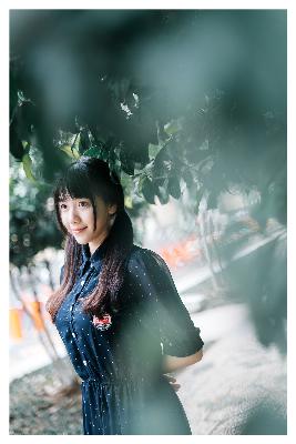 卿卿日常电视剧全集免费观看