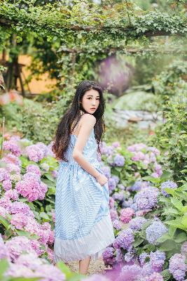 疯狂动物城2(国语版)