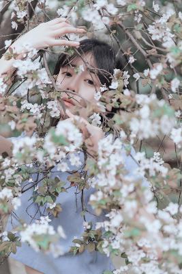 神墓年番在线观看完整版免费