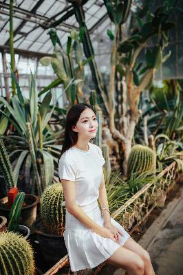 叶凡唐若雪小说最新章节