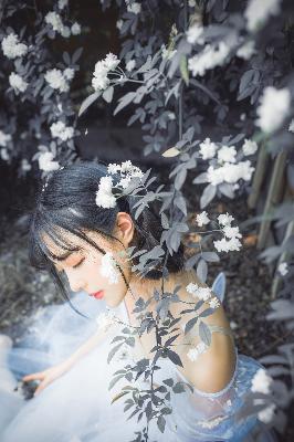 高压监狱3满天星高压法版清晨满天星