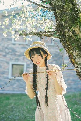 免费观看电视剧全集在线播放高清