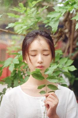 斗破苍穹年番在线观看免费观看完整版