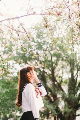 打开我的历史记录