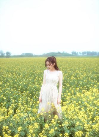 我的阿勒泰电视剧免费观看