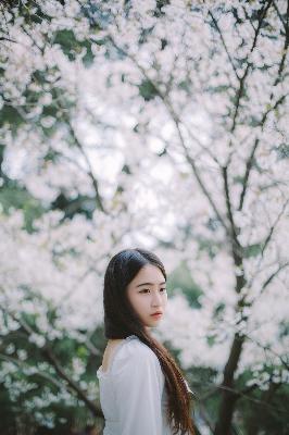 窝窝影院免费观看电视剧最新章节