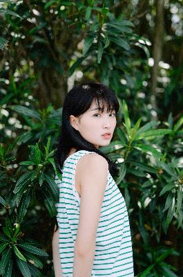 成人动漫在线观看