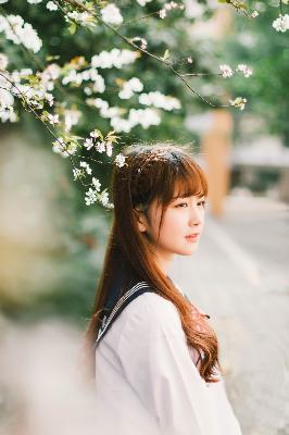 麻雀电视剧免费全集观看