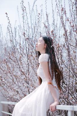 莲花楼电视剧免费观看完整版