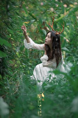 高清在线观看免费播放电视剧