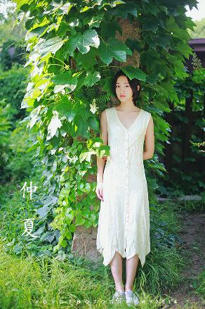 樱桃琥珀电视剧免费观看全集