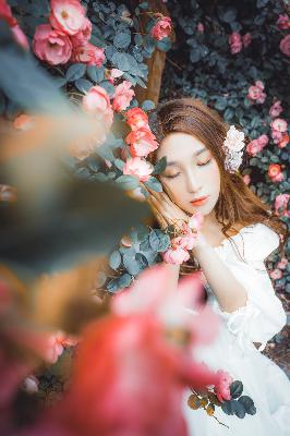 中文字幕免费高清电视剧日剧