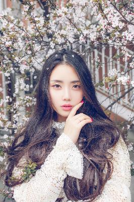 斗罗大陆观看免费完整版