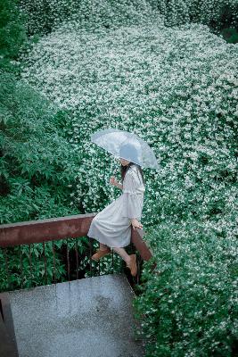 鬼灭之刃无限城篇在线观看免费