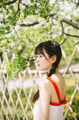 韶华若锦电视剧免费观看全集在线播放