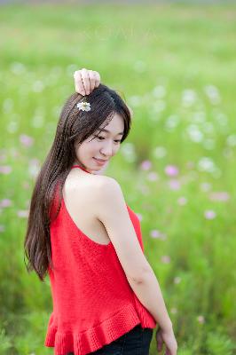 继续播放免费观看最新一期高清